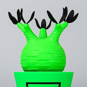 その他 MEDICOM TOY VCD BOTANIZE Pachypodium Amazon | BOTANIZE × MEDICOM TOY パキポディウム グラキリス